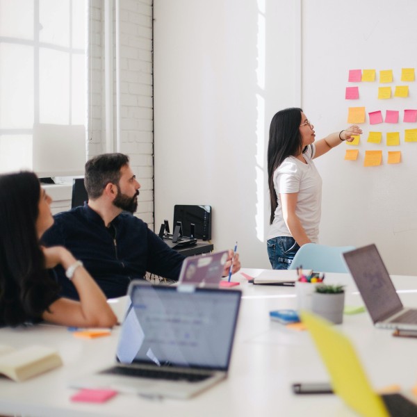 Workforce development - Our work | Platform Trust